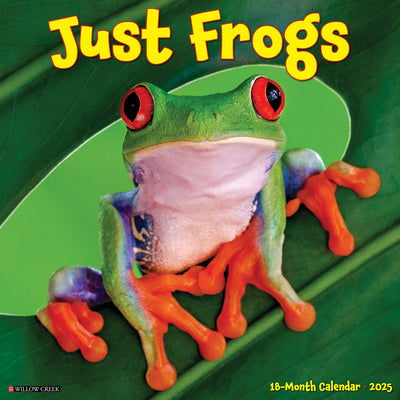 Frogs 2025 Wall Calendar - Willow Creek Press 9781549242977