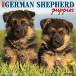 German Shepherd Puppies 2025 Wall Calendar - Willow Creek Press 9781549243011