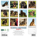 German Shepherd Puppies 2025 Wall Calendar - Willow Creek Press 9781549243011_1