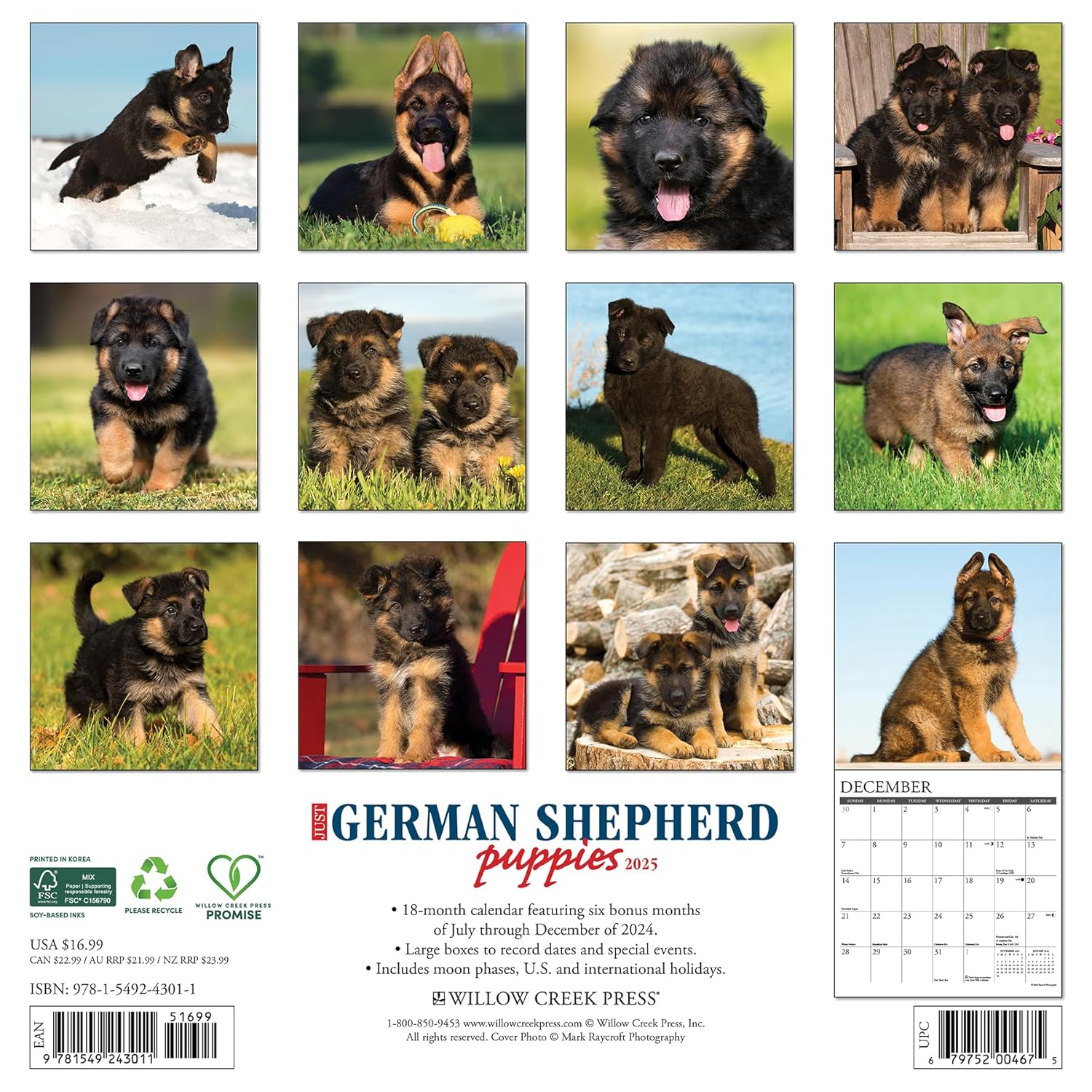German Shepherd Puppies 2025 Wall Calendar - Willow Creek Press 9781549243011_1