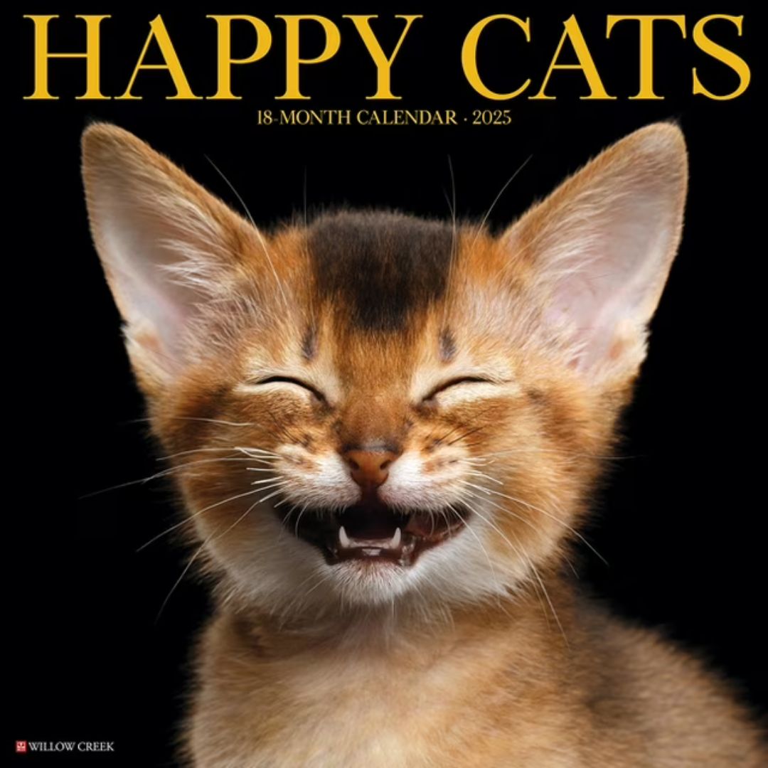 Happy Cats 2025 Wall Calendar - Willow Creek Press 9781549243288