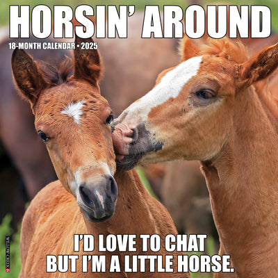 Horsin’ Around 2025 Wall Calendar - Willow Creek Press 9781549243394