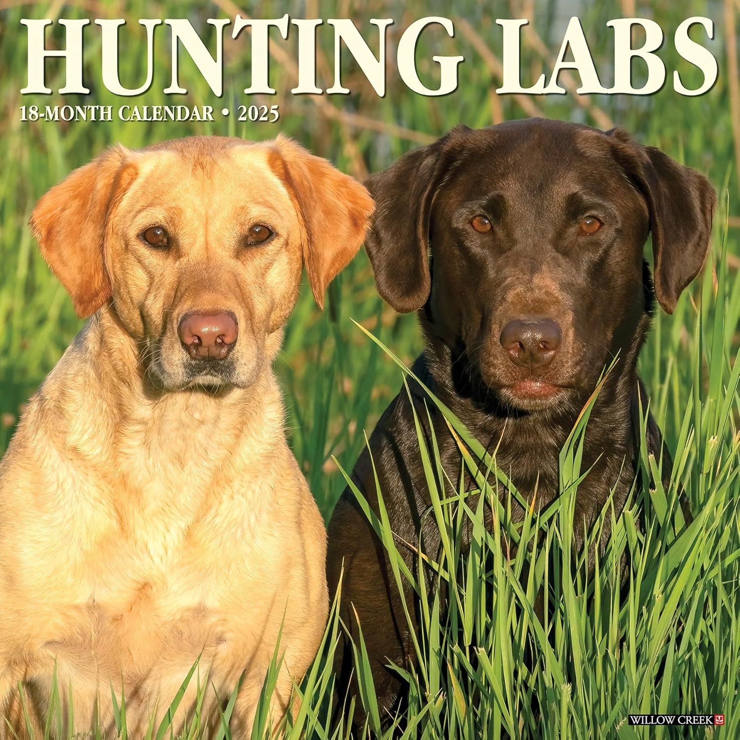 Hunting Labs 2025 Wall Calendar - Willow Creek Press 9781549243455