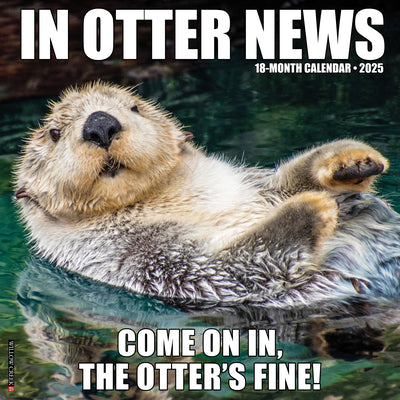 In Otter News 2025 Wall Calendar - Willow Creek Press 9781549243479