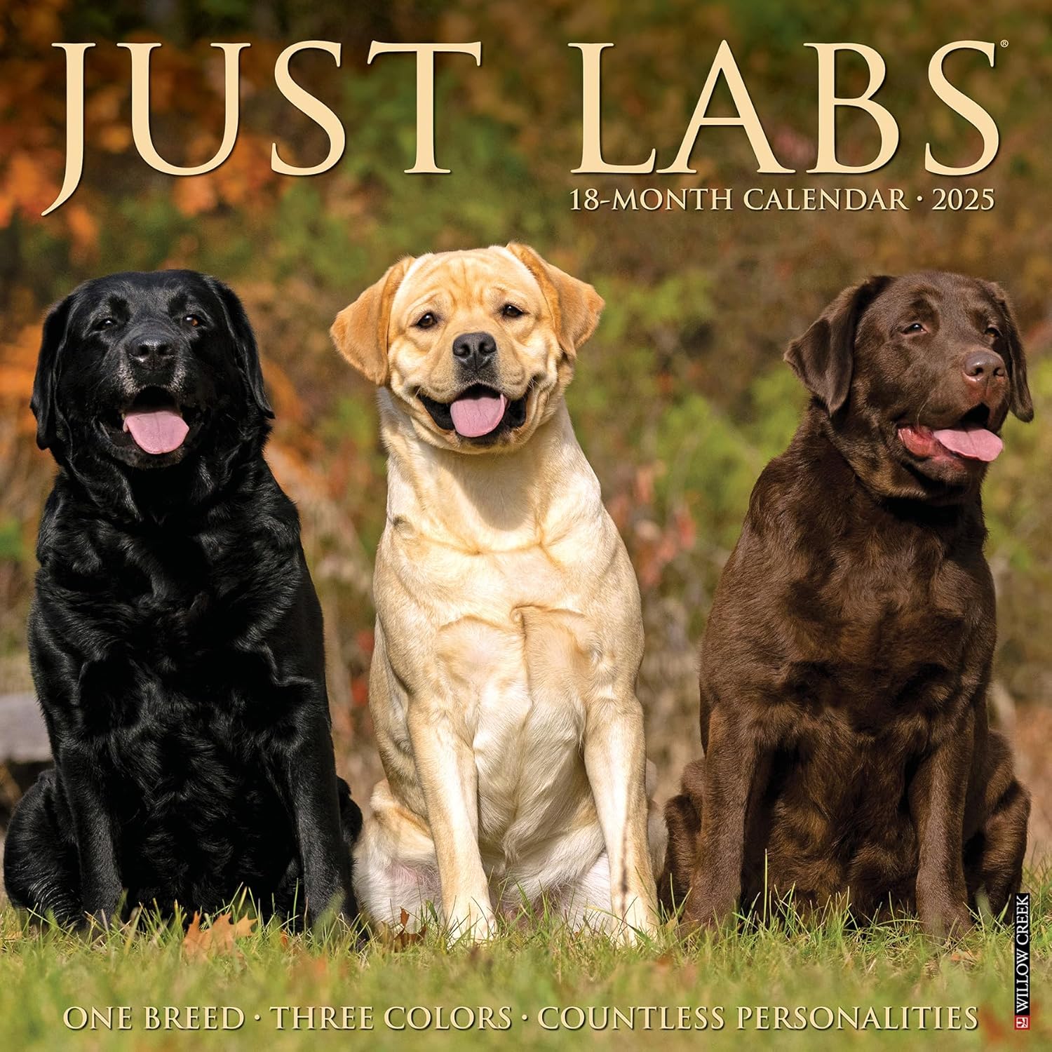 Labs 2025 Wall Calendar - Willow Creek Press 9781549243677