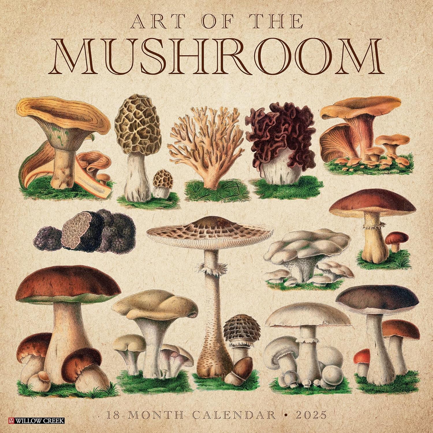 Art Of The Mushroom 2025 Wall Calendar - Willow Creek Press 9781549244070
