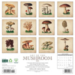 Art Of The Mushroom 2025 Wall Calendar - Willow Creek Press 9781549244070_1