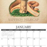 Art Of The Mushroom 2025 Wall Calendar - Willow Creek Press 9781549244070_2