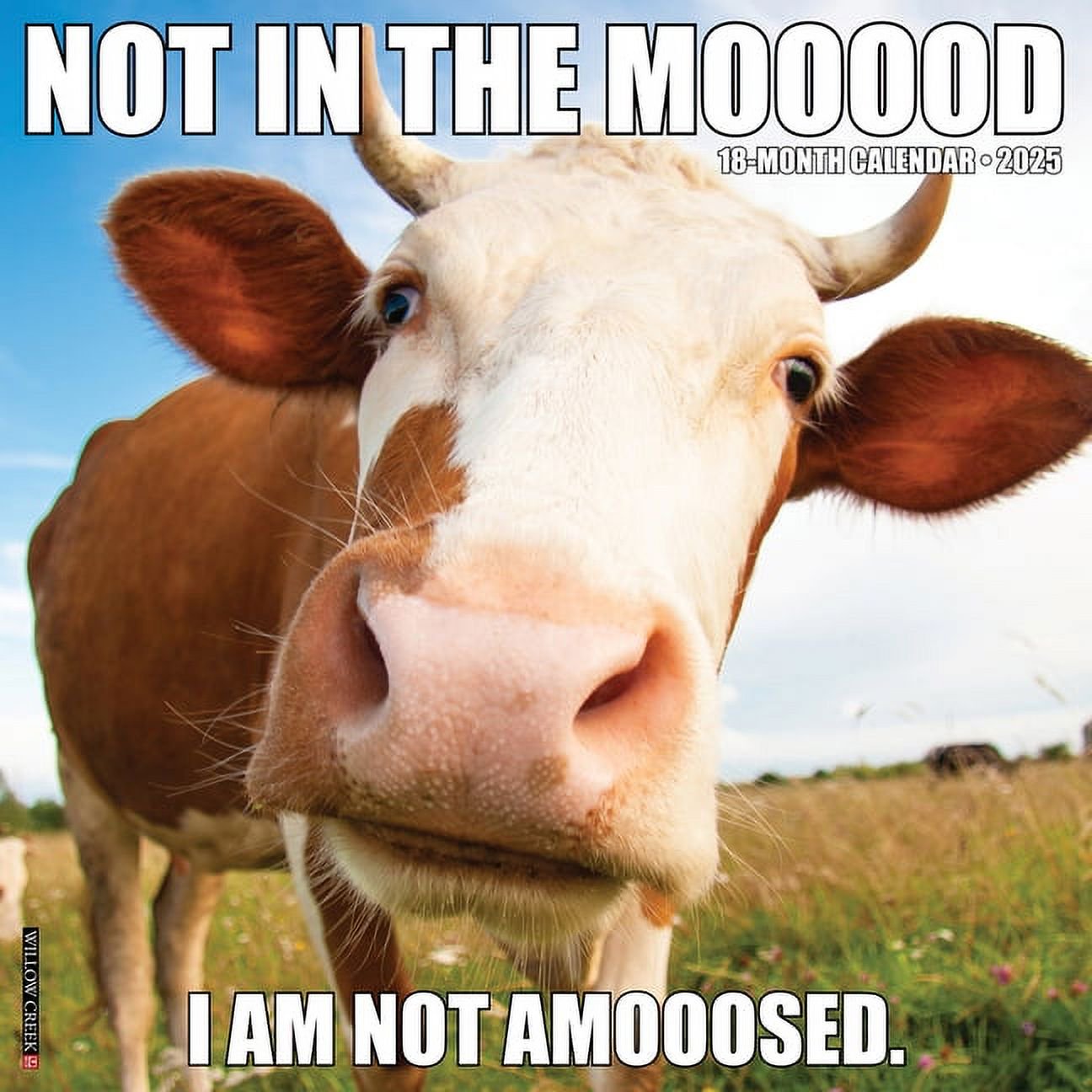 Not In The Mooood 2025 Wall Calendar - Willow Creek Press 9781549244247