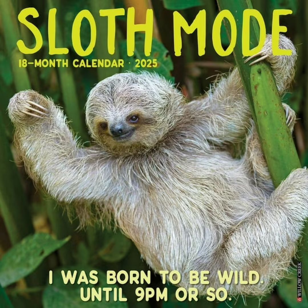 Sloth Mode 2025 Wall Calendar - Willow Creek Press 9781549244933