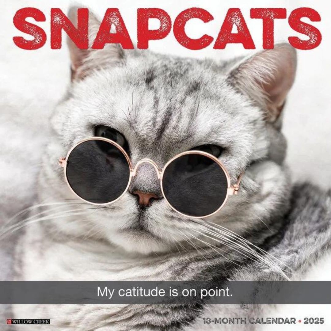 Snapcats 2025 Wall Calendar - Willow Creek Press 9781549244964