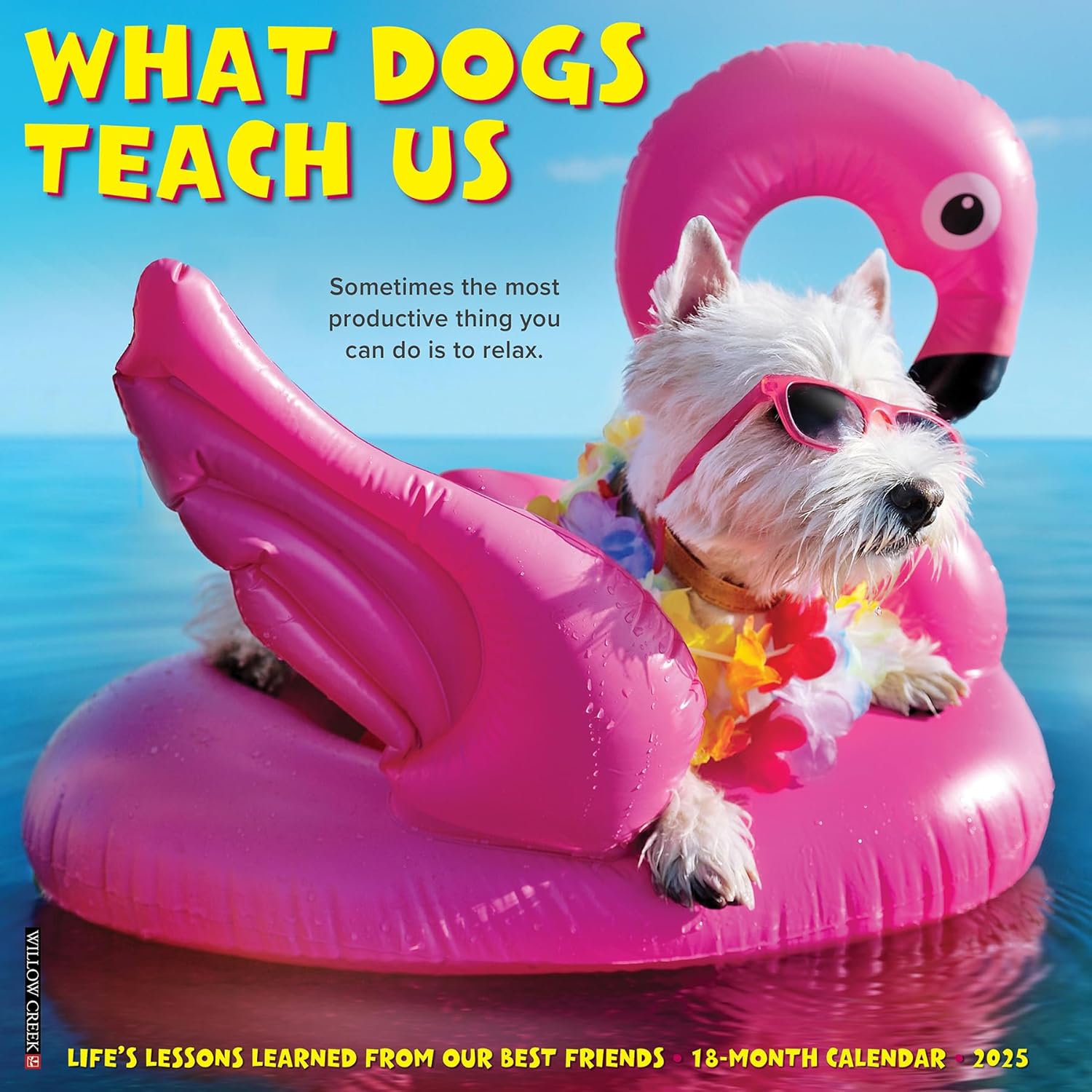 What Dogs Teach Us 2025 Wall Calendar - Willow Creek Press 9781549245350