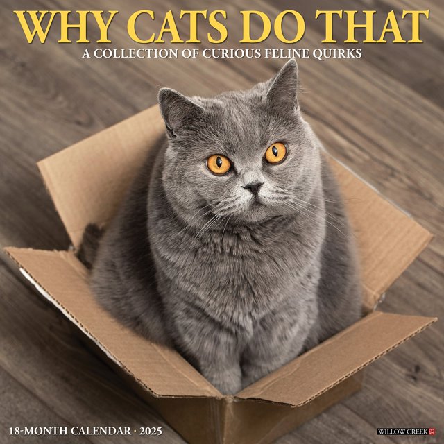 Why Cats Do That 2025 Wall Calendar - Willow Creek Press 9781549245435