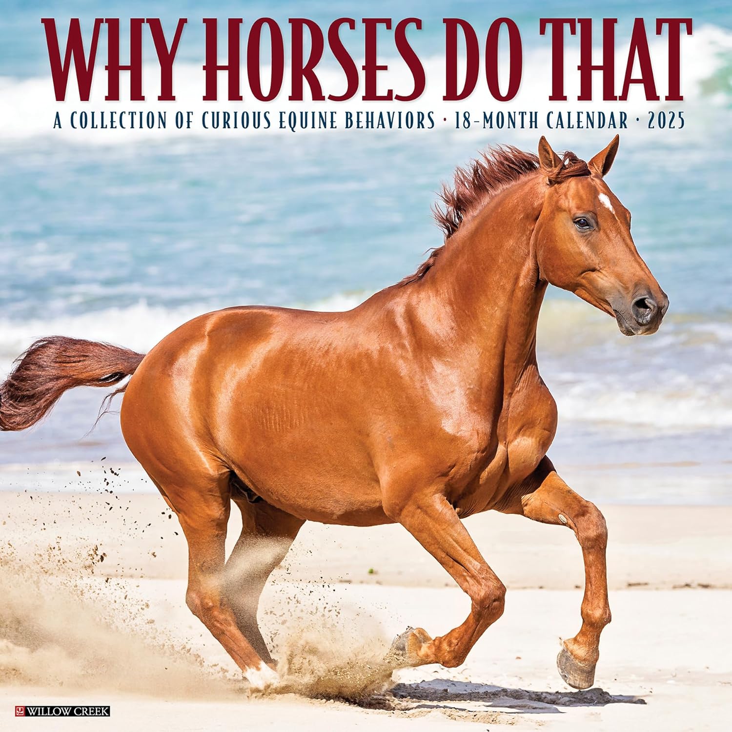 Why Horses Do That 2025 Wall Calendar - Willow Creek Press 9781549245442