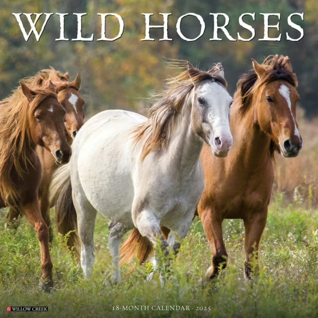 Wild Horses 2025 Wall Calendar - Willow Creek Press 9781549245466