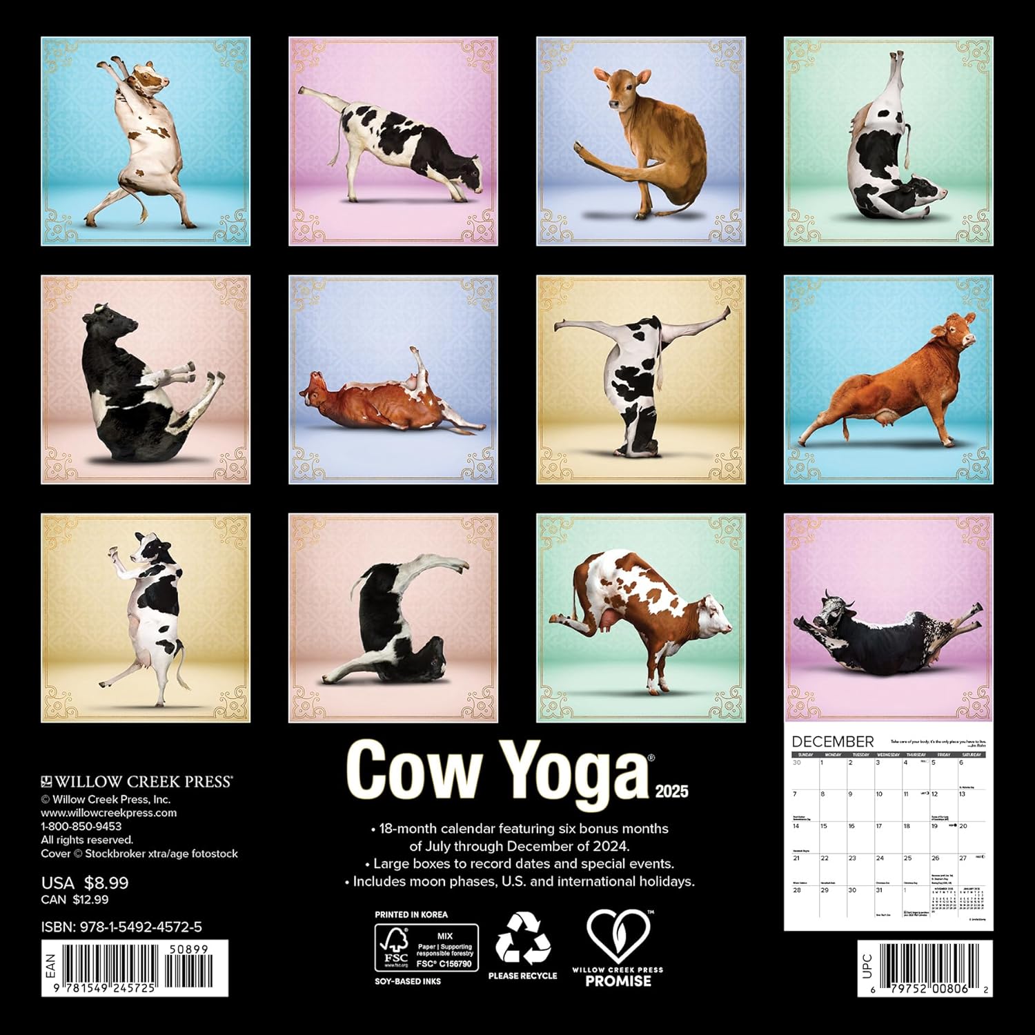 Cow Yoga 2025 Mini Wall Calendar - Willow Creek Press 9781549245725_1
