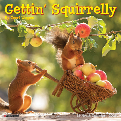 Gettin' Squirrelly 2025 Mini Wall Calendar - Willow Creek Press 9781549245787