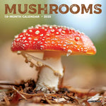 Mushrooms Mini Wall Calendar - Willow Creek Press 9781549245855