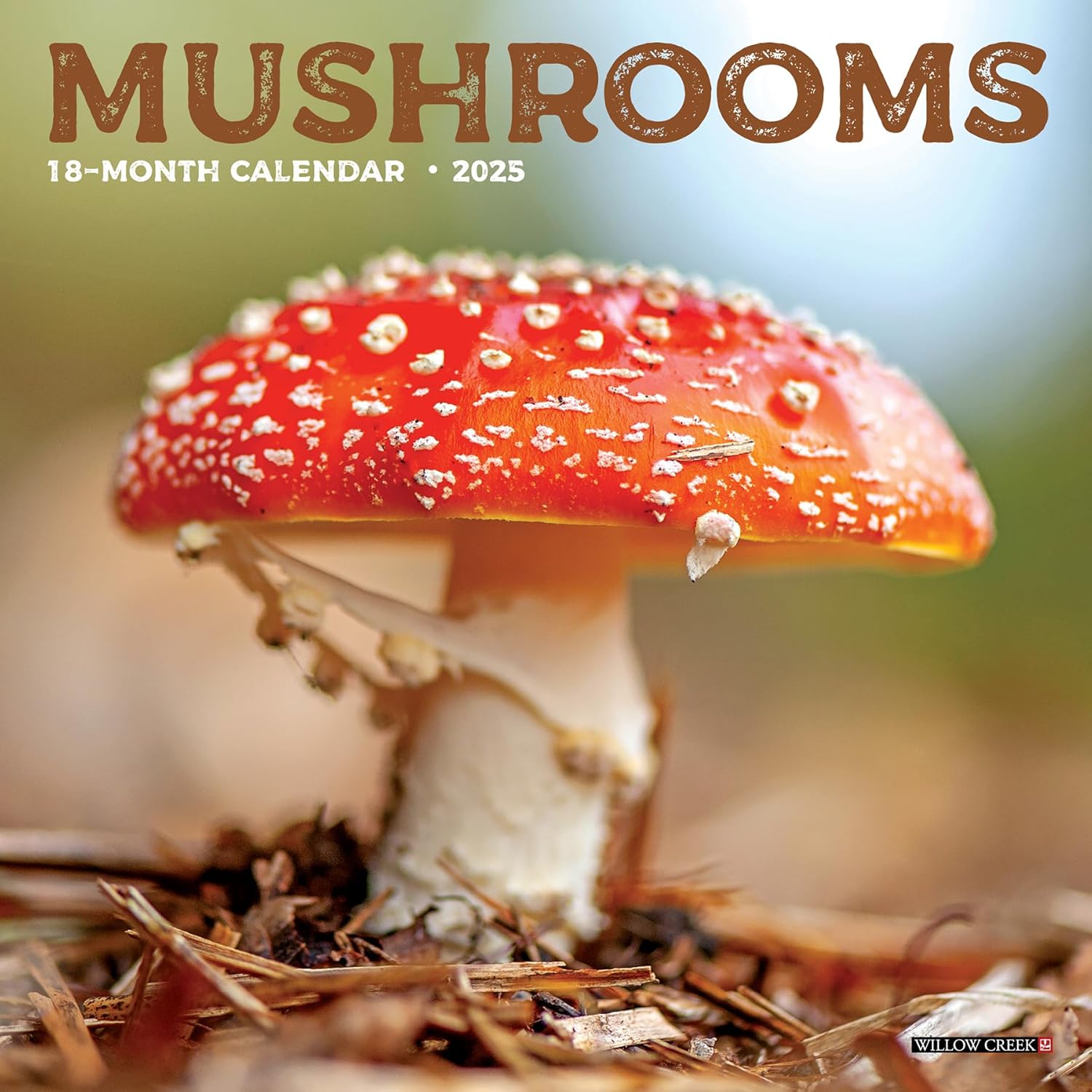 Mushrooms Mini Wall Calendar - Willow Creek Press 9781549245855