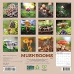 Mushrooms Mini Wall Calendar - Willow Creek Press 9781549245855_1