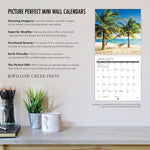 Mushrooms Mini Wall Calendar - Willow Creek Press 9781549245855_4