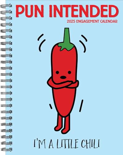 Pun Intended 2025 Engagement Calendar - Willow Creek Press 9781549246166