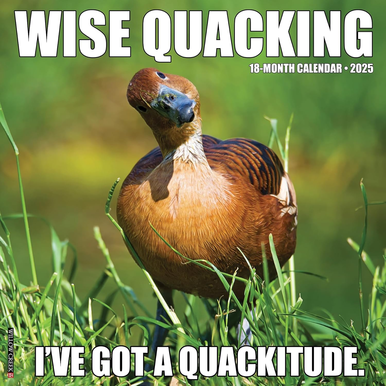 Wise Quacking 2025 Wall Calendar - Willow Creek Press 9781549246371