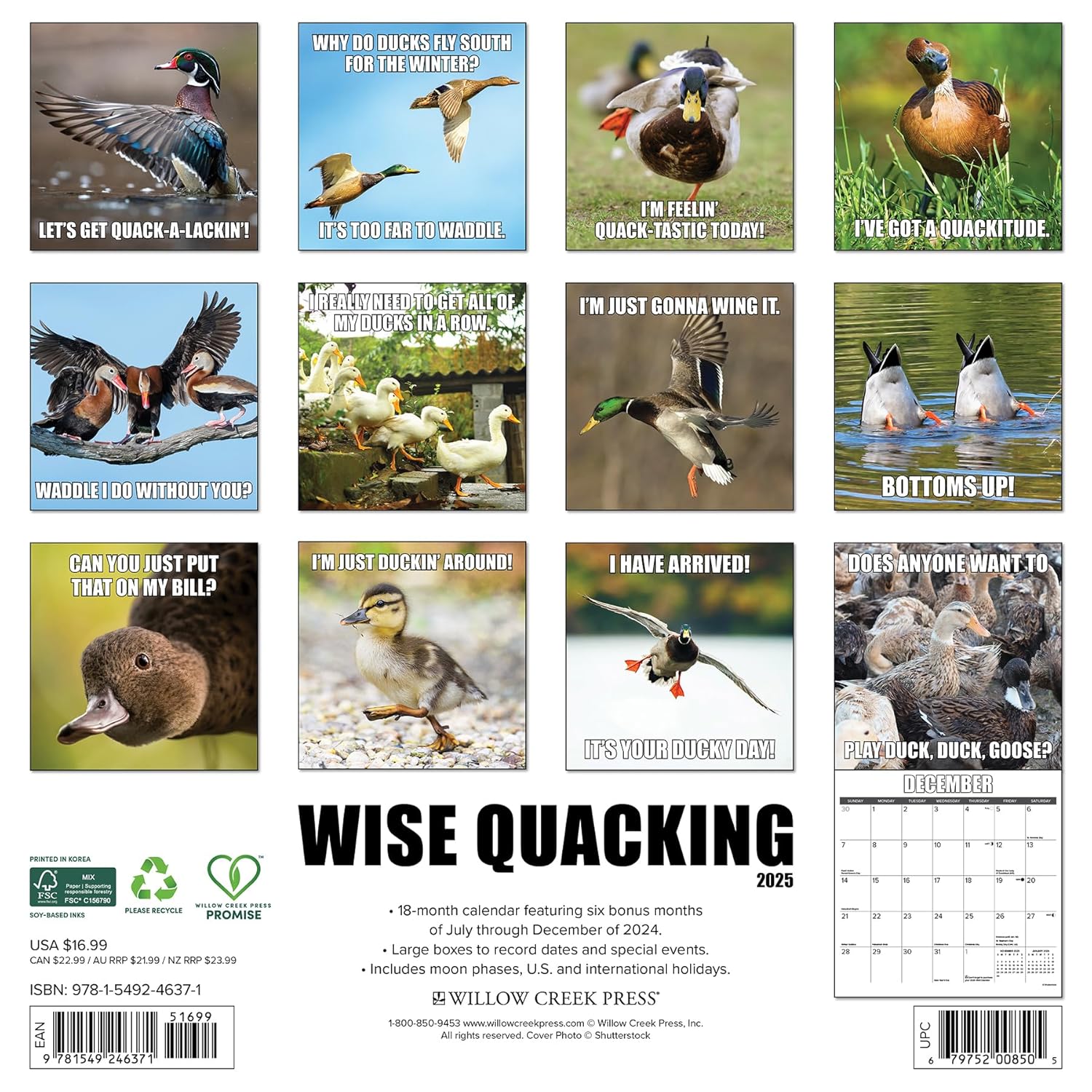 Wise Quacking 2025 Wall Calendar - Willow Creek Press 9781549246371_1