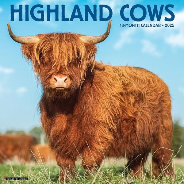 Highland Cows 2025 Wall Calendar - Willow Creek Press 9781549246432