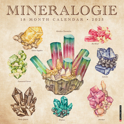 Mineralologie 2025 Wall Calendar - Willow Creek Press 9781549246494