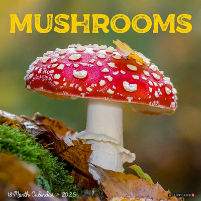 Mushrooms 2025 Wall Calendar - Willow Creek Press 9781549246517