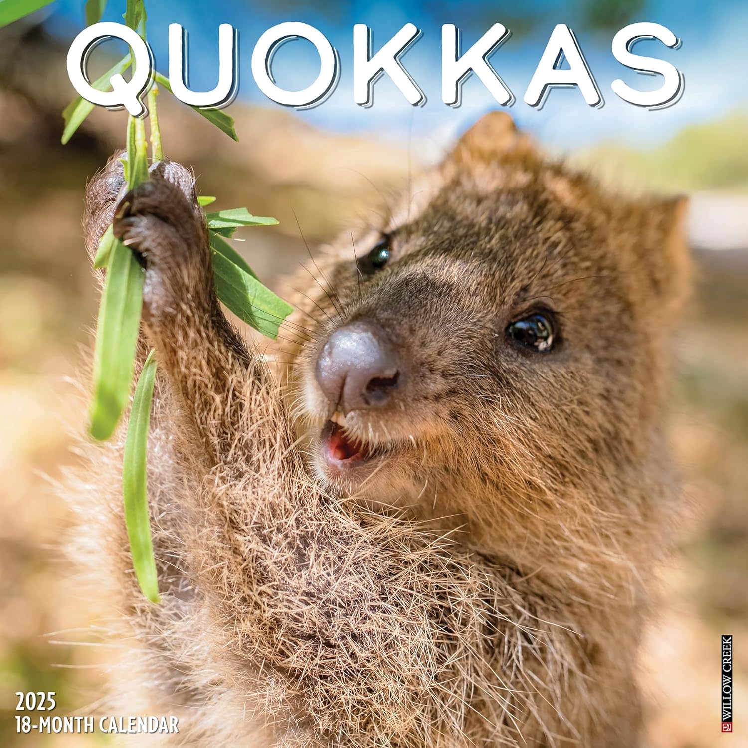 Quokkas 2025 Wall Calendar - Willow Creek Press 9781549246562