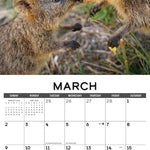 Quokkas 2025 Wall Calendar - Willow Creek Press 9781549246562_2