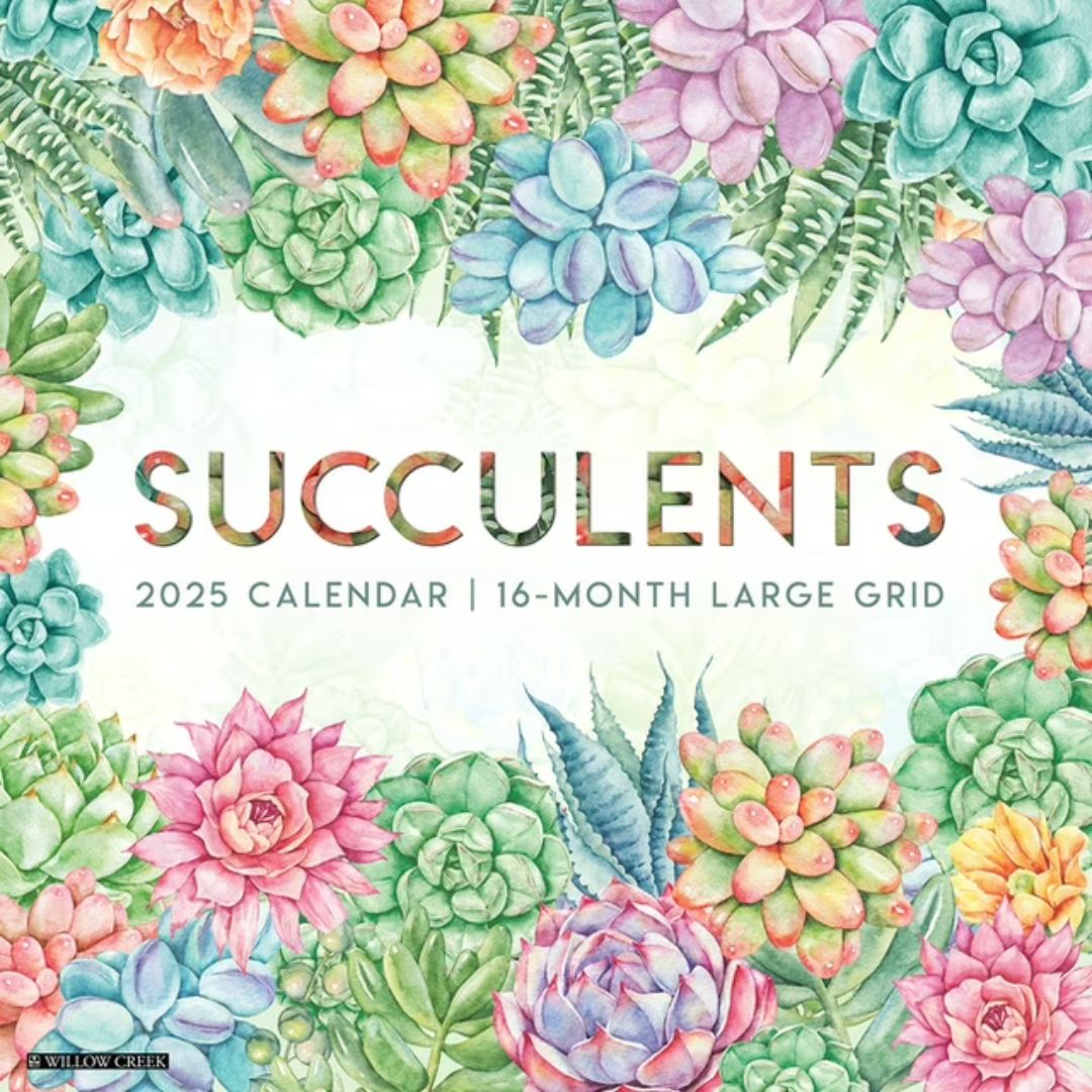 Succulents—Large Grid 2025 Wall Calendar - Willow Creek Press 9781549246616