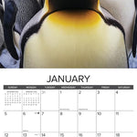 Animal Selfies 2025 Wall Calendar - Willow Creek Press 9781549247163_2