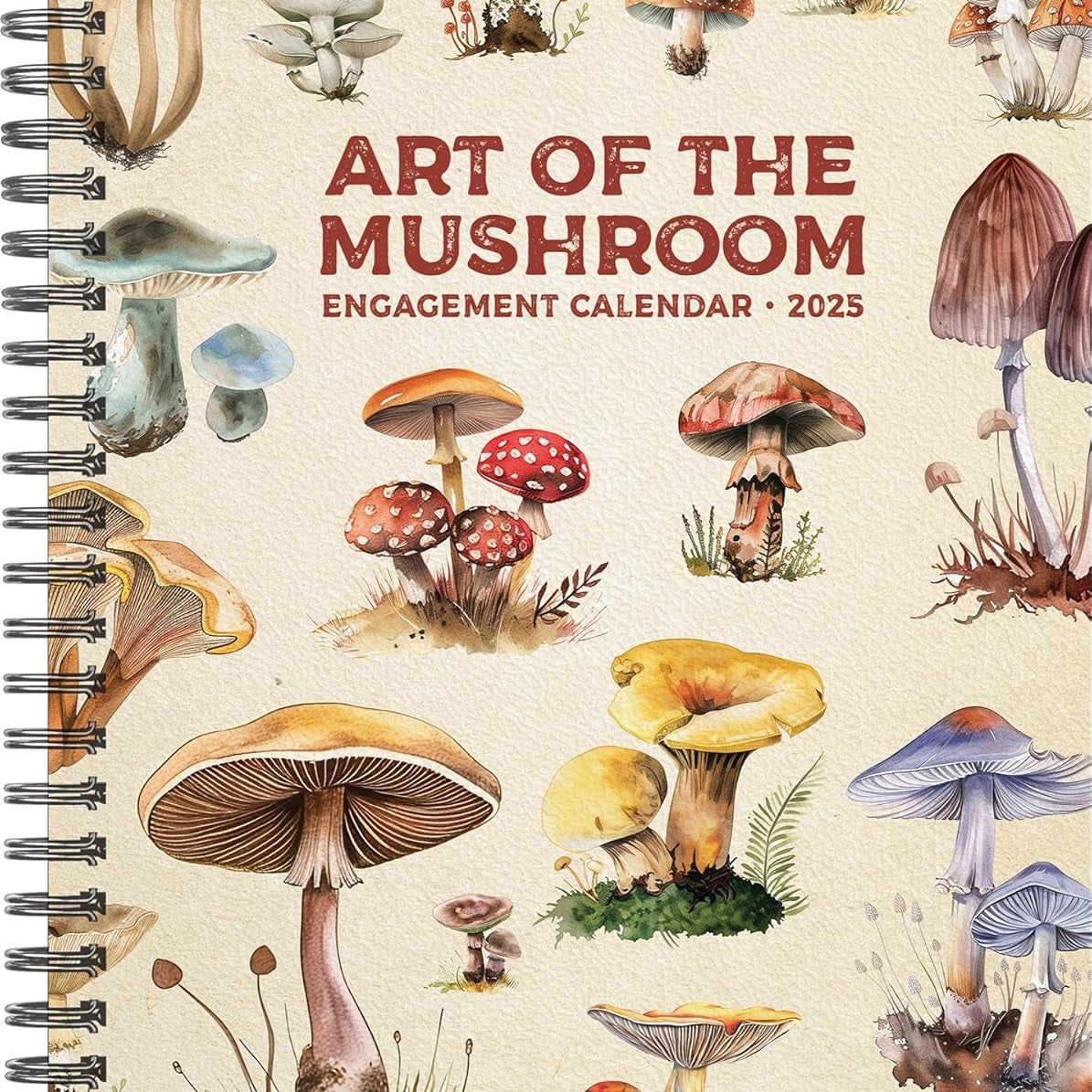 Art Of The Mushroom 2025 Engagement Calendar - Willow Creek Press 9781549247231