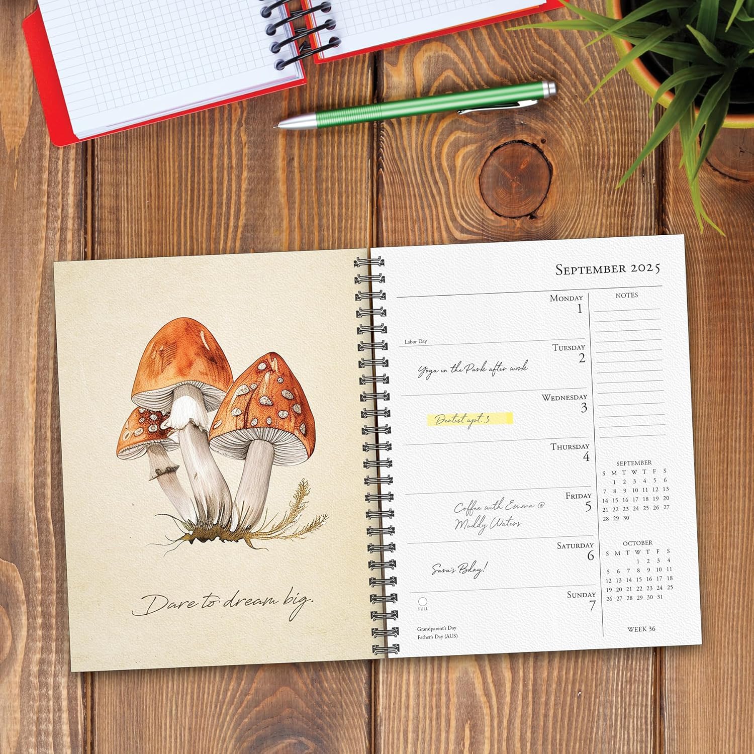 Art Of The Mushroom 2025 Engagement Calendar - Willow Creek Press 9781549247231_2