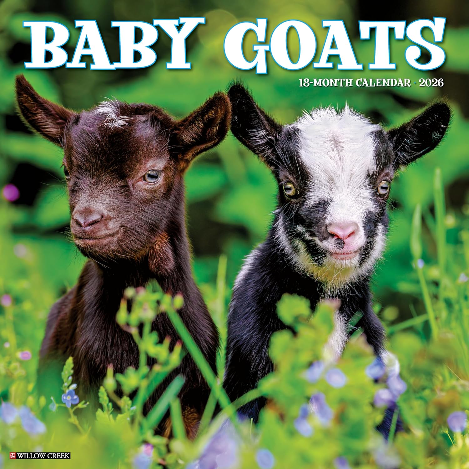 2026 Baby Goats Wall Calendar 9781549250019