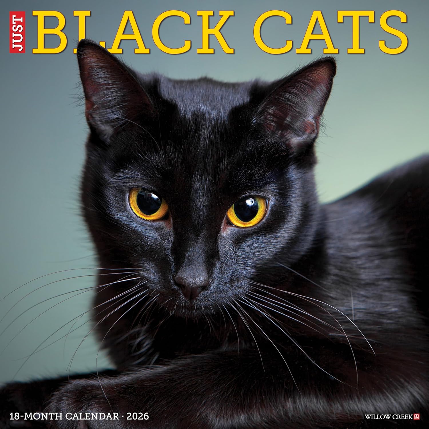 2026 Black Cats Wall Calendar 9781549250286