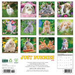 2026 Bunnies Wall Calendar 9781549250446