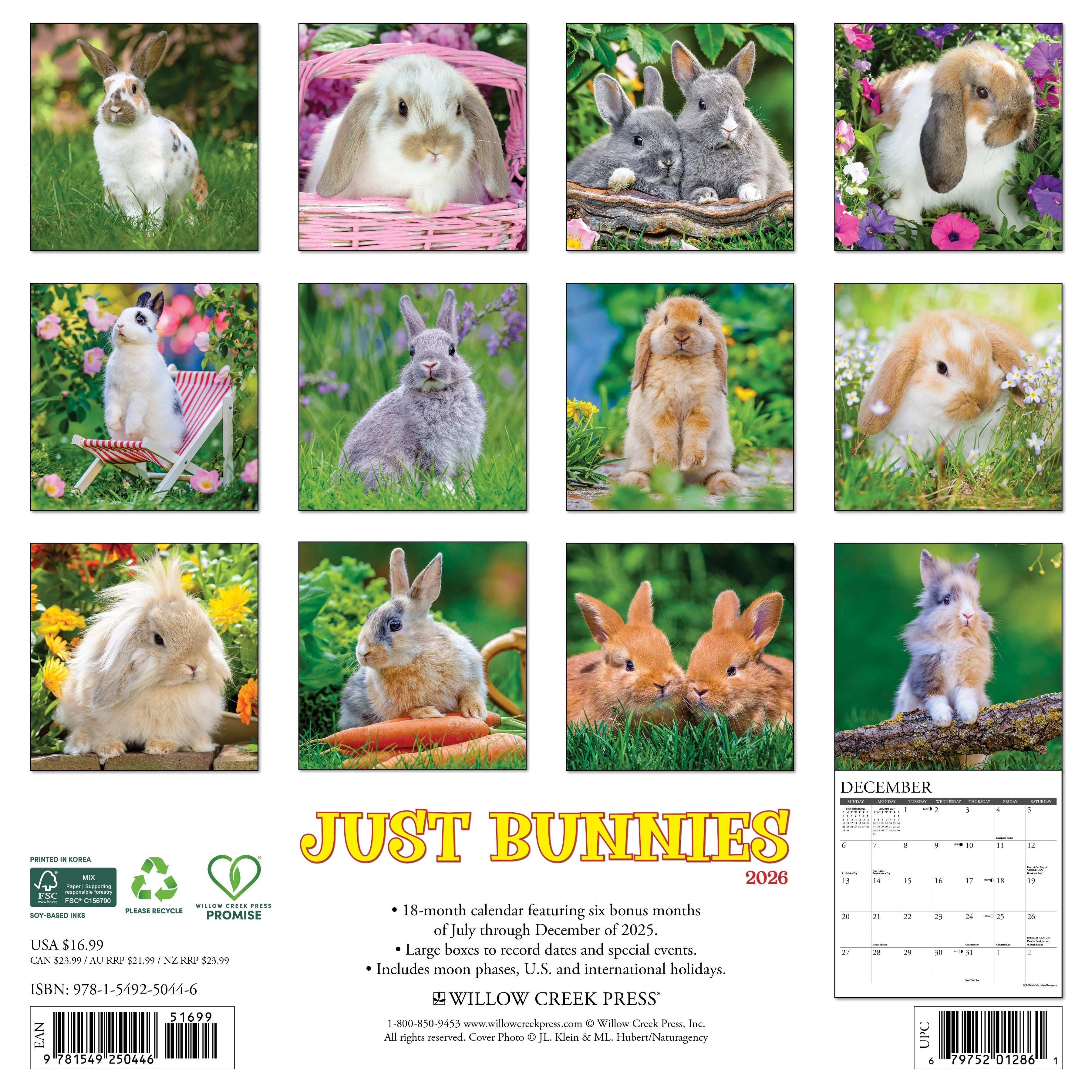 2026 Bunnies Wall Calendar 9781549250446