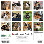 2026 Calico Cats Wall Calendar 9781549250484