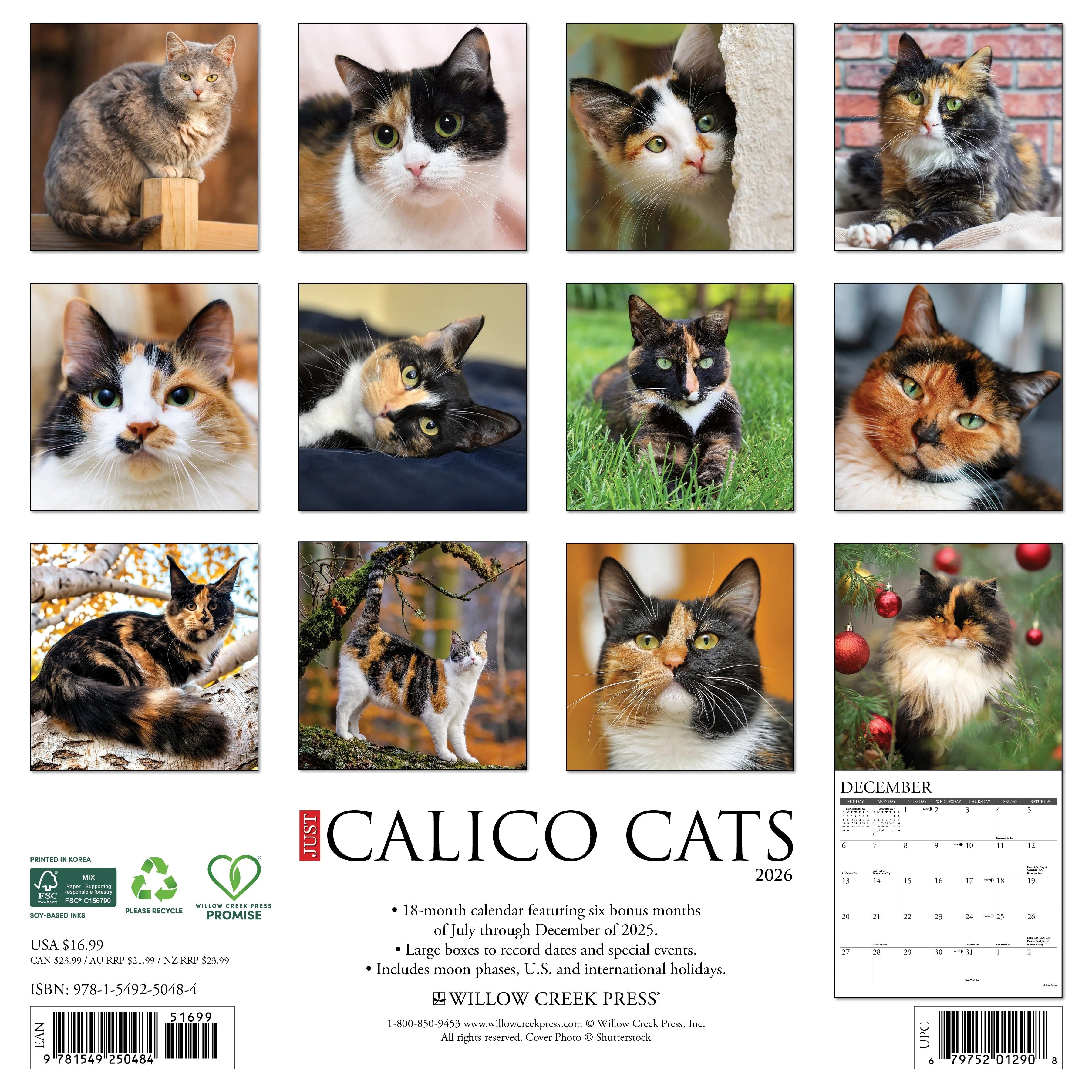 2026 Calico Cats Wall Calendar 9781549250484