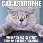 2026 Cat-Astrophe Wall Calendar 9781549250606