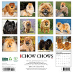 2026 Chow Chows Wall Calendar 9781549250712