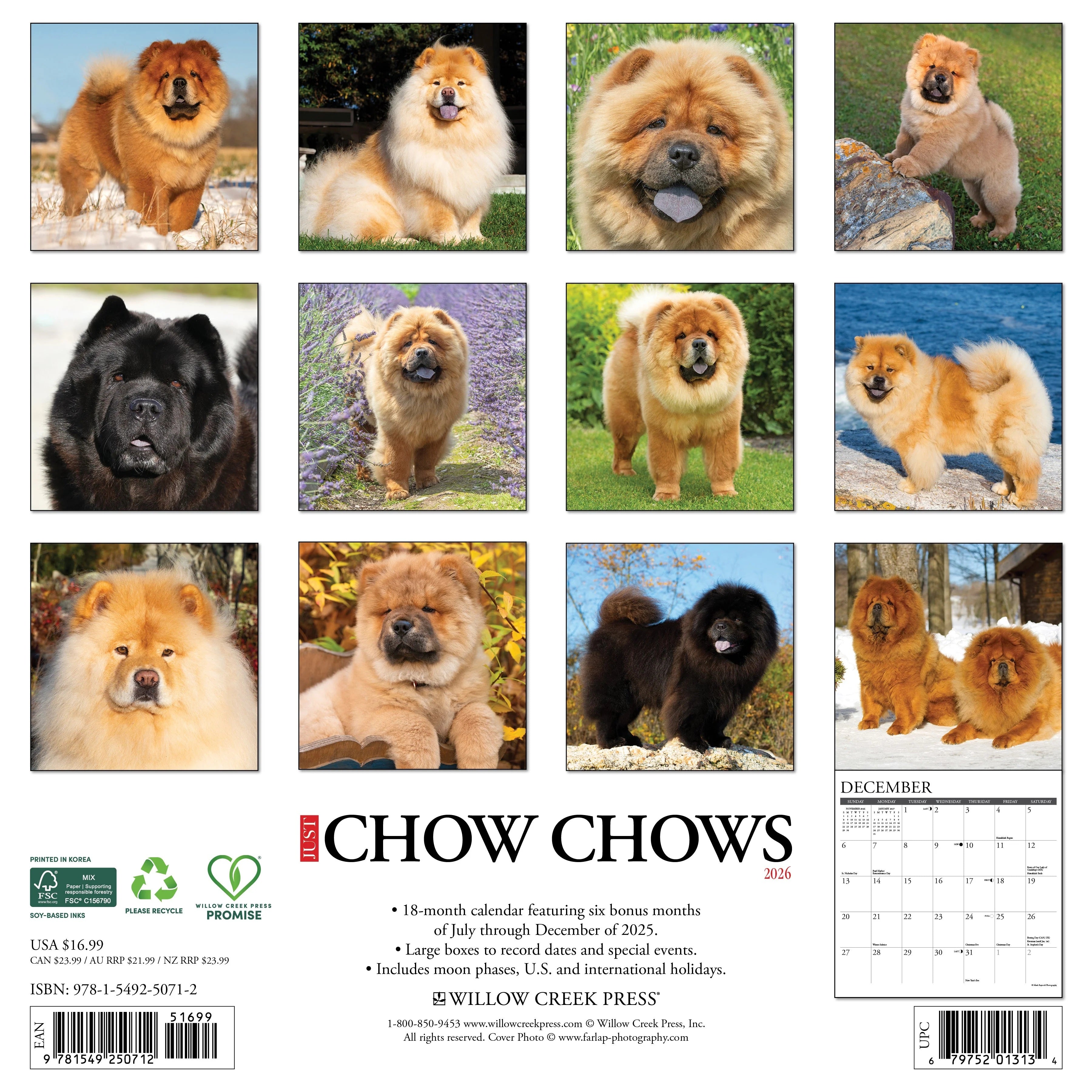 2026 Chow Chows Wall Calendar 9781549250712