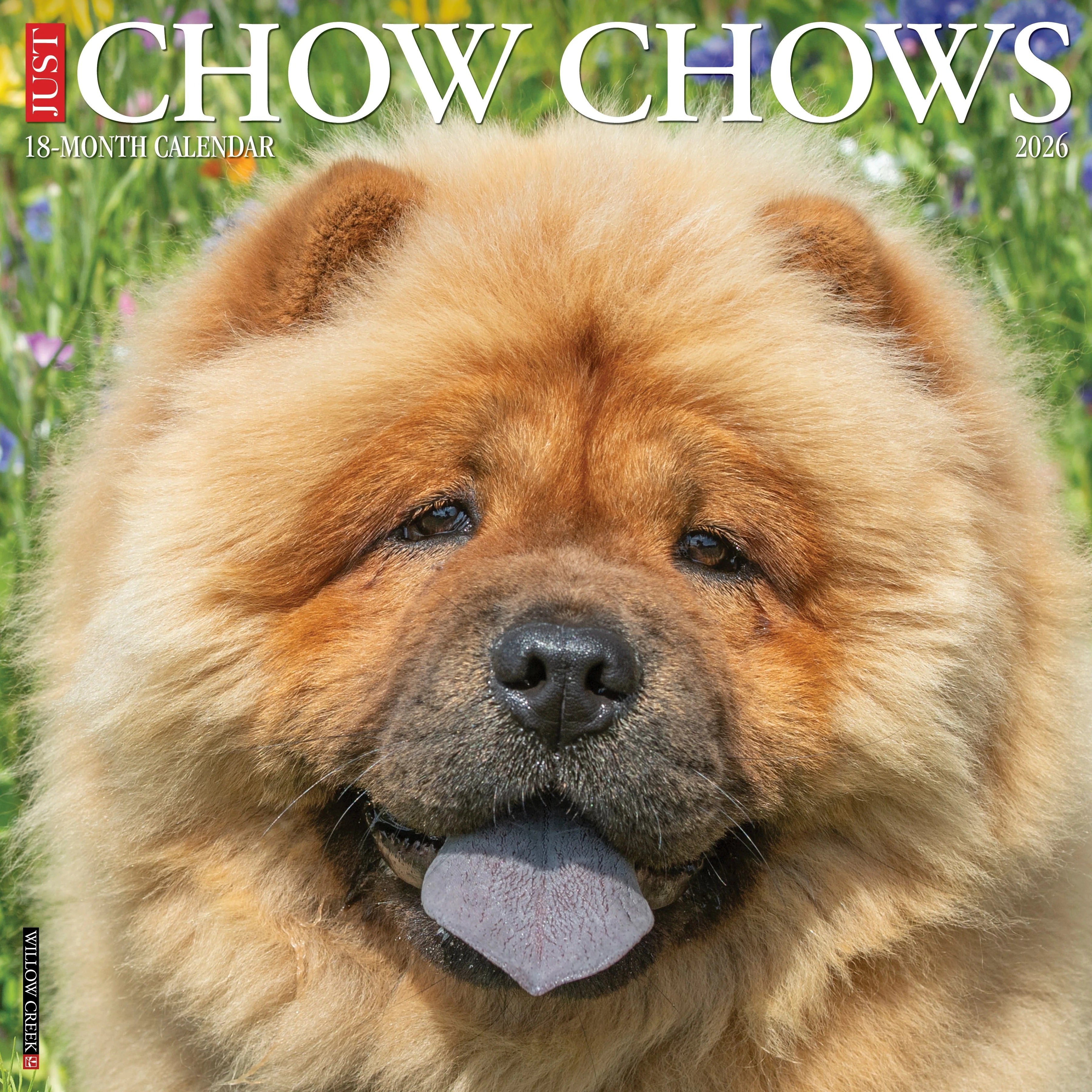 2026 Chow Chows Wall Calendar 9781549250712_59e4384b-6cf4-4edc-9728-5965352ab5ef