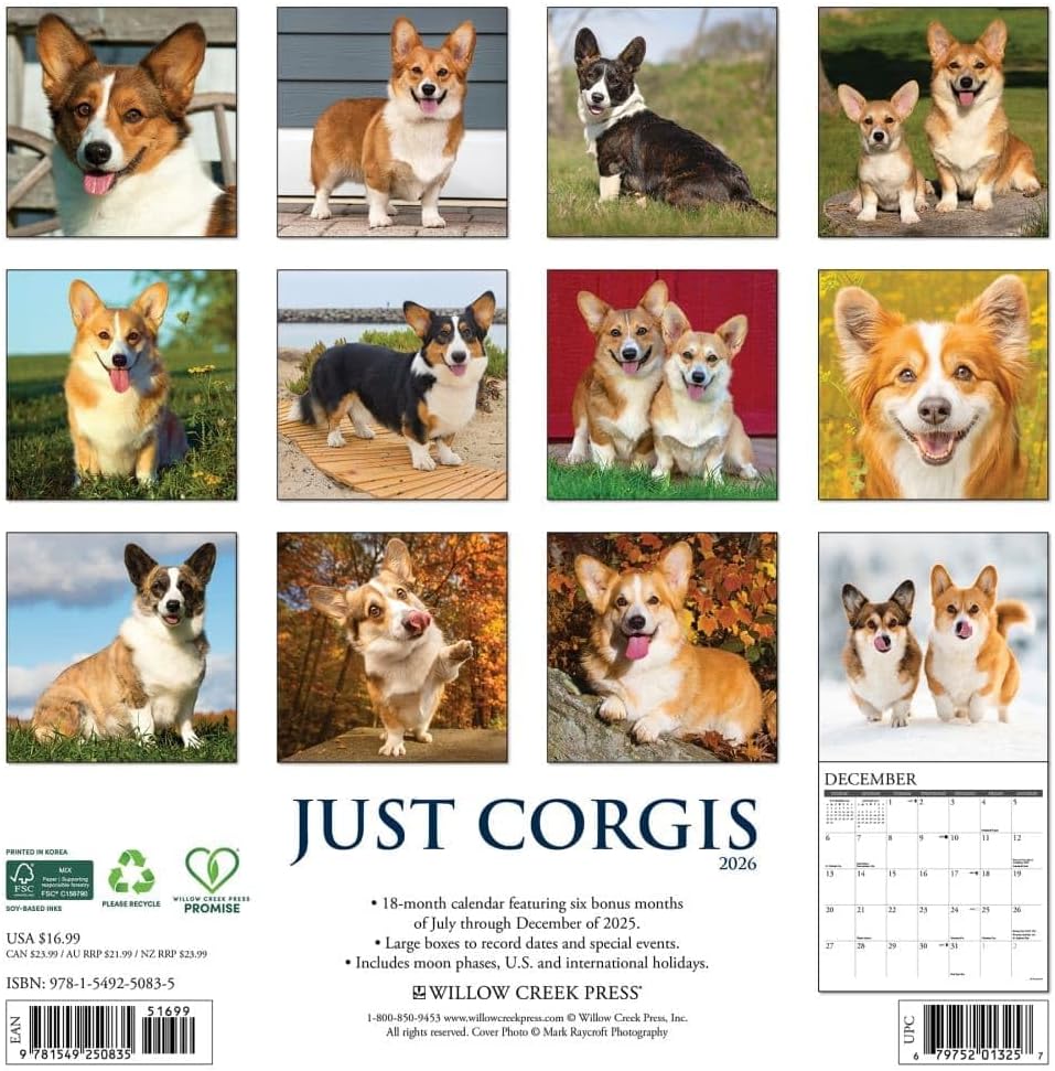 2026 Corgis Wall Calendar 9781549250835