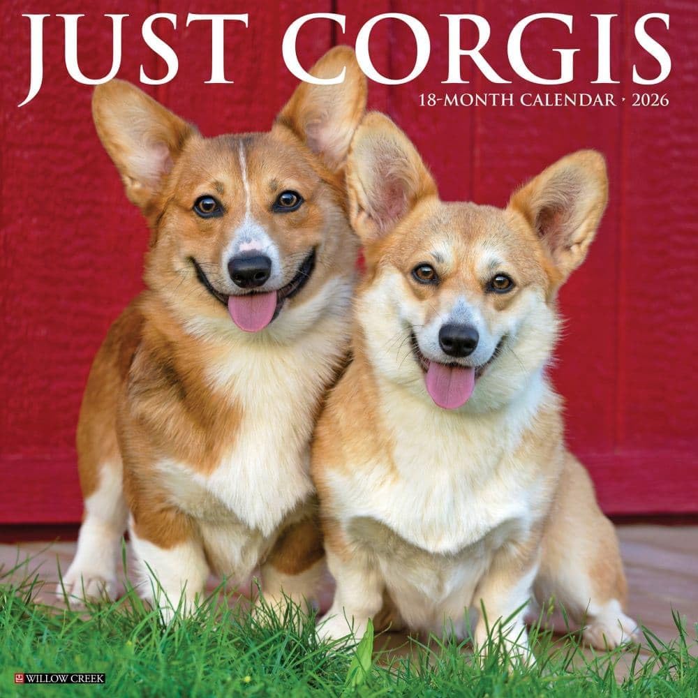 2026 Corgis Wall Calendar 9781549250835_750970ca-de48-42f0-b520-4d766872f378