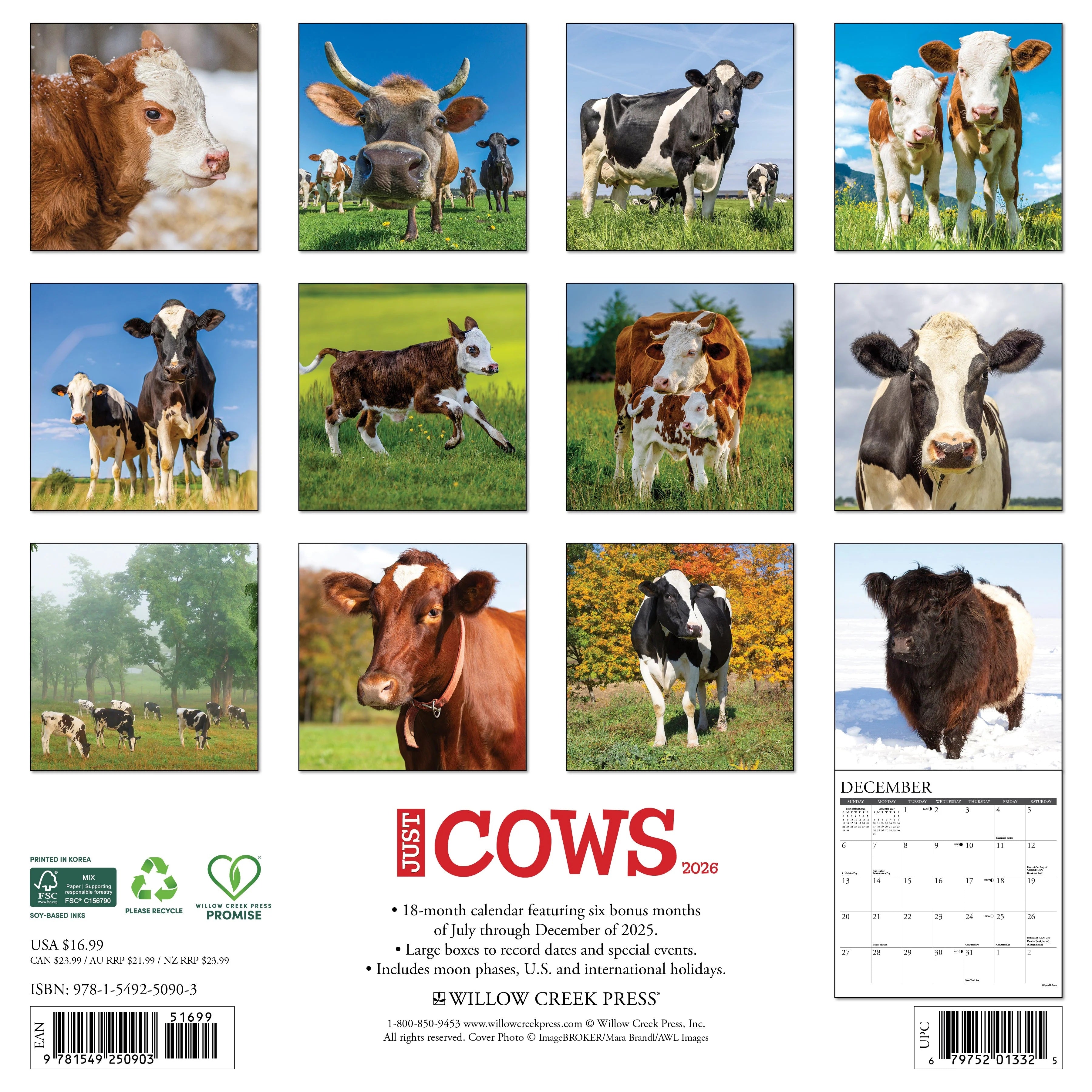 2026 Cows Wall Calendar 9781549250903_f8d468b6-1544-41c6-99ff-c580489869e3
